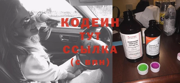 крисы Елизово