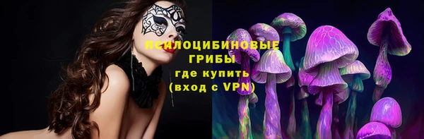 2c-b Ельня