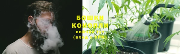 крисы Елизово