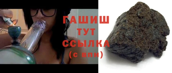 2c-b Ельня