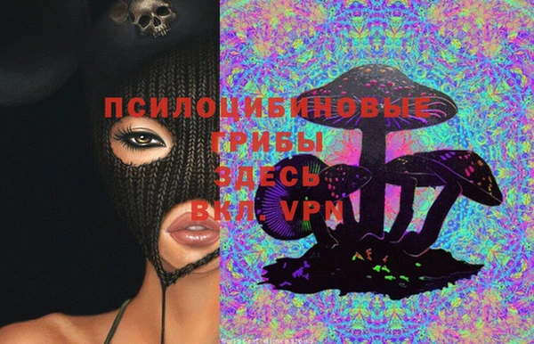 мдпв Фурманов