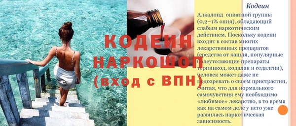 2c-b Ельня