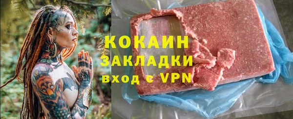 2c-b Ельня