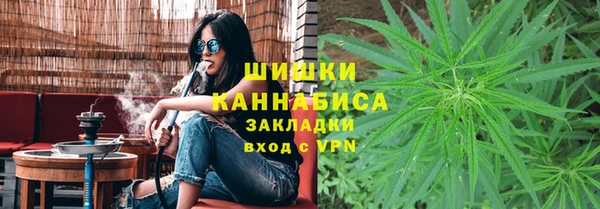 2c-b Ельня