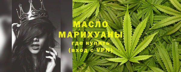 2c-b Ельня