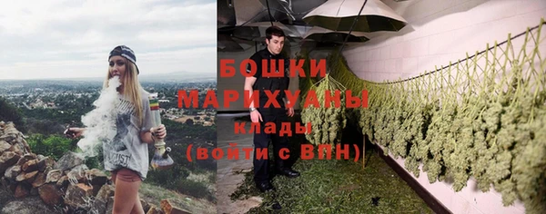 крисы Елизово