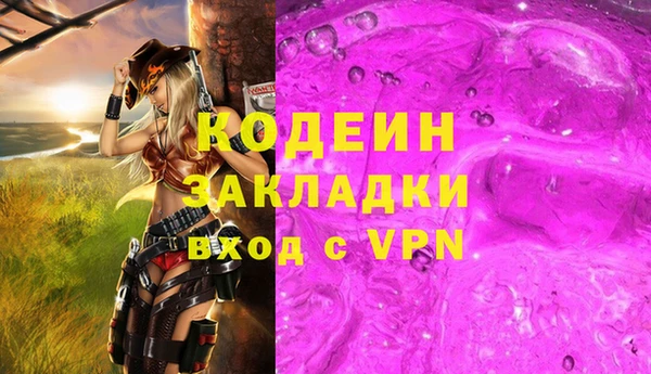 2c-b Ельня