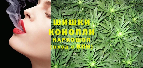 2c-b Ельня
